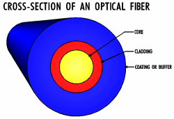Cross-section of an Optical Fiber