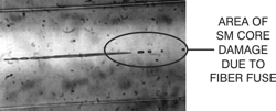 SM fiber core destroyed by fiber fuse mechanism.