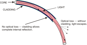 Optical Fiber with Cladding
